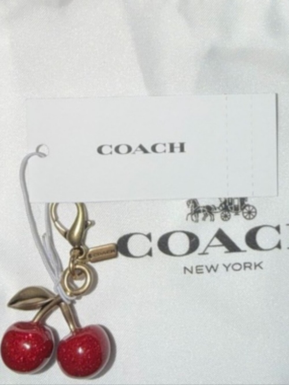 Coach keychain charm- Bag Not Included. - Picture 2 of 2